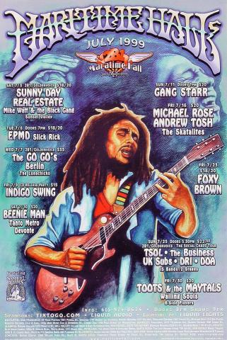 Sunny Day Real Estate Poster