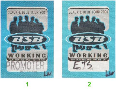 Backstreet Boys Backstage Pass