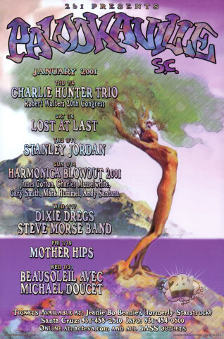 Charlie Hunter Trio Poster