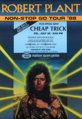 Robert Plant Poster