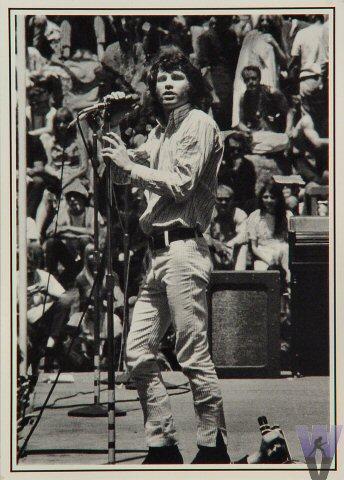 The Doors Postcard