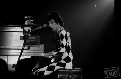 Freddie Mercury Fine Art Print