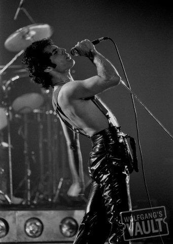 Freddie Mercury Fine Art Print