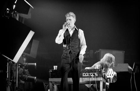 David Bowie Fine Art Print