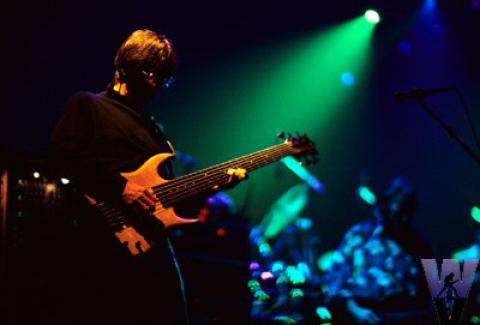 Phil Lesh Fine Art Print