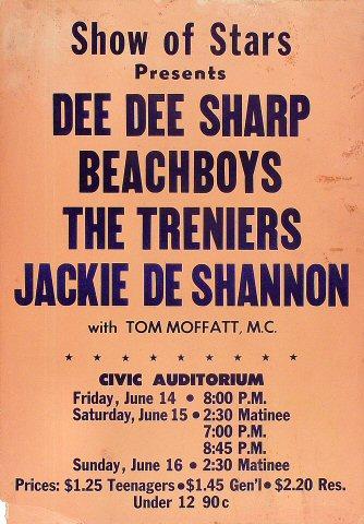 The Beach Boys Poster
