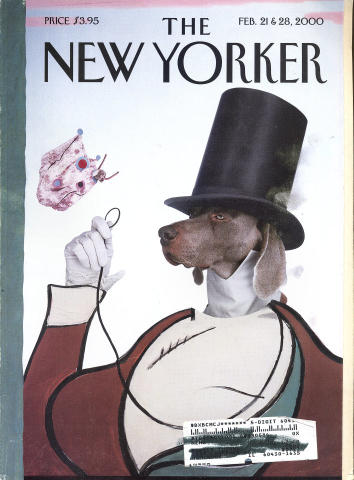 The New Yorker