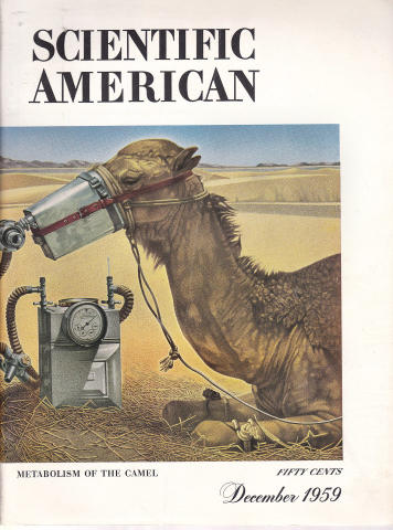 Scientific American