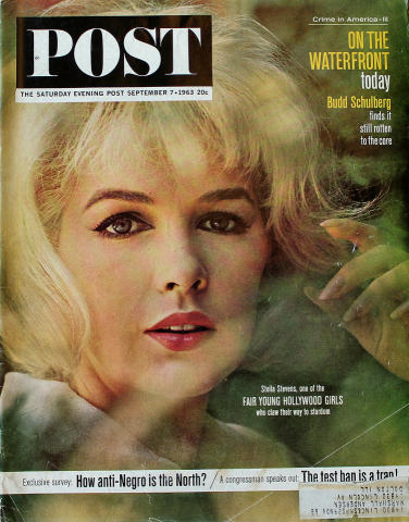 The Saturday Evening Post