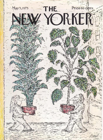 The New Yorker