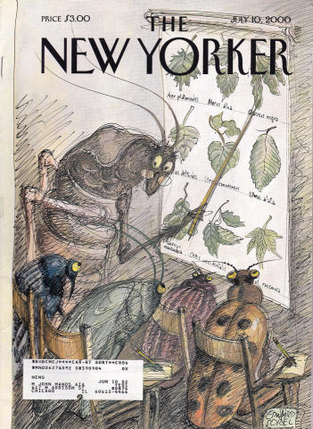 The New Yorker