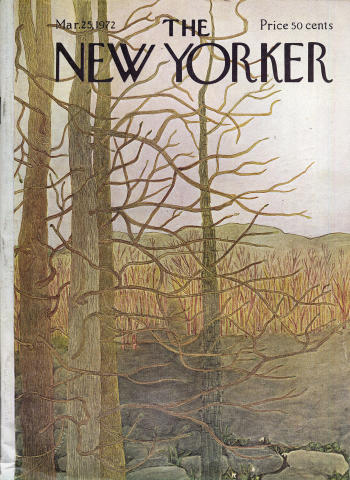 The New Yorker