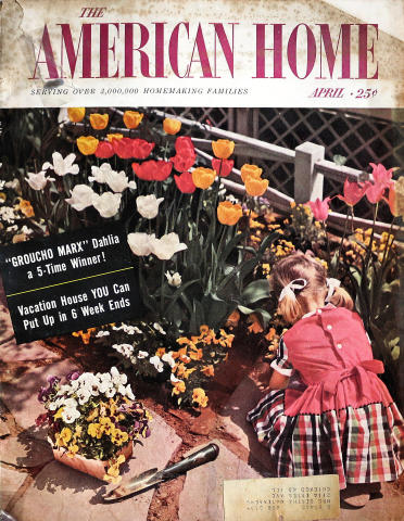 The American Home