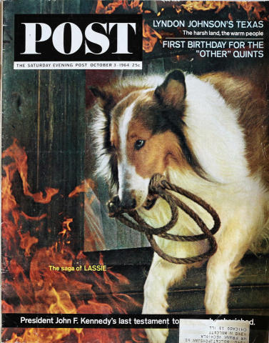 The Saturday Evening Post
