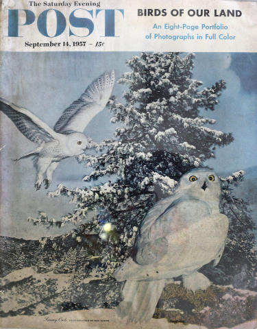 The Saturday Evening Post