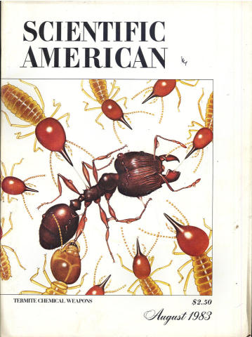 Scientific American