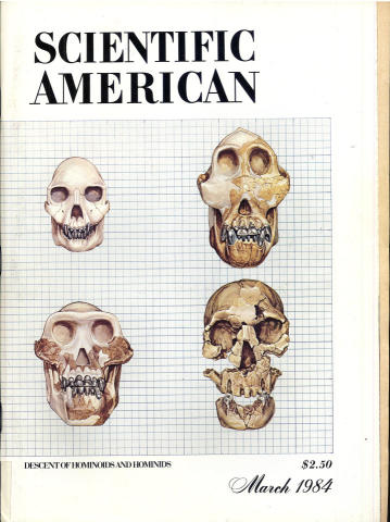 Scientific American