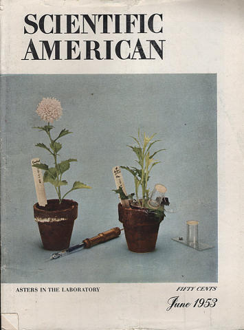 Scientific American