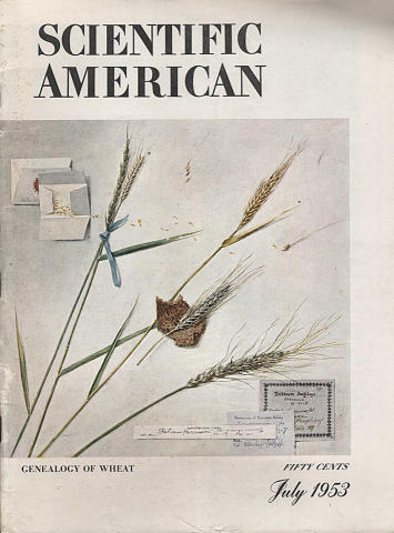 Scientific American
