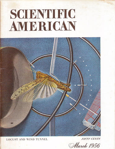Scientific American
