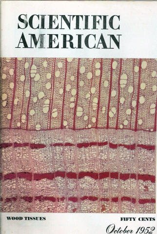 Scientific American
