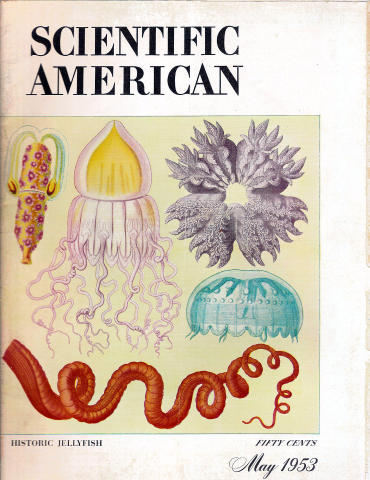 Scientific American