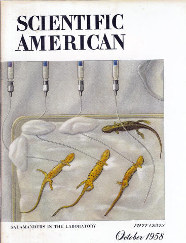 Scientific American