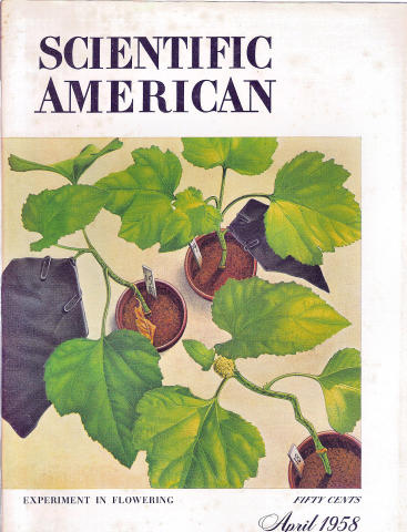 Scientific American
