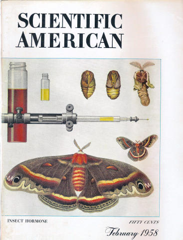 Scientific American