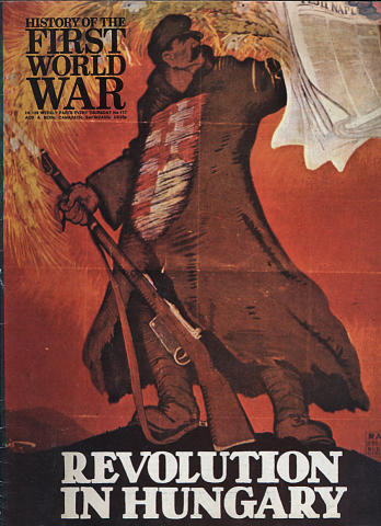 History Of The First World War No. 117