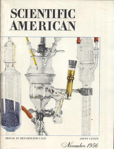Scientific American