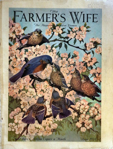The Farmer's Wife