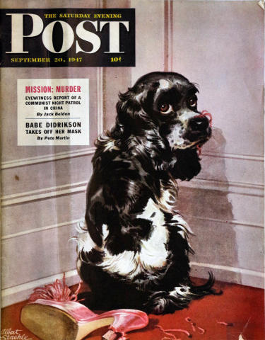 The Saturday Evening Post