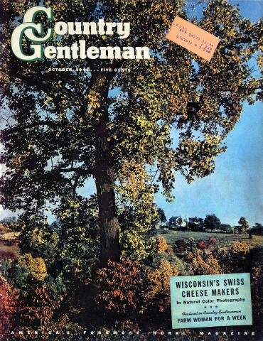 Country Gentleman