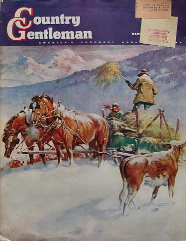 Country Gentleman