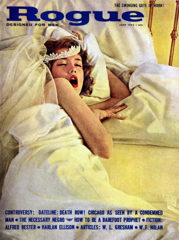 Rogue Vintage Adult Magazine