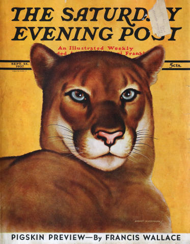 The Saturday Evening Post