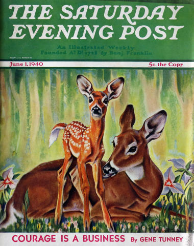 The Saturday Evening Post
