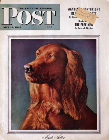 The Saturday Evening Post