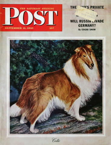 The Saturday Evening Post