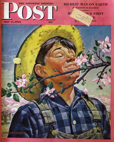 The Saturday Evening Post
