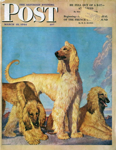 The Saturday Evening Post