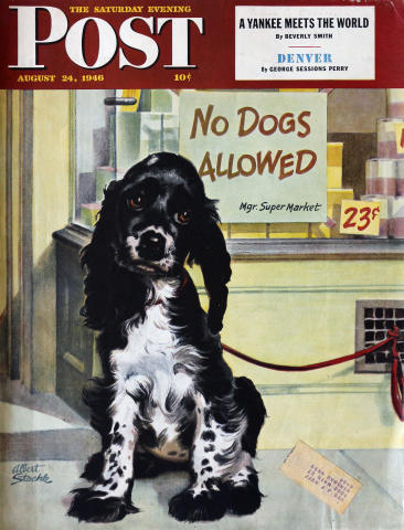 The Saturday Evening Post