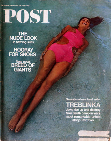 The Saturday Evening Post