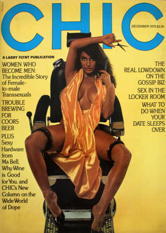 Chic Vintage Adult Magazine