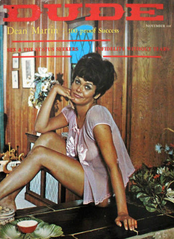 The Dude Vintage Adult Magazine