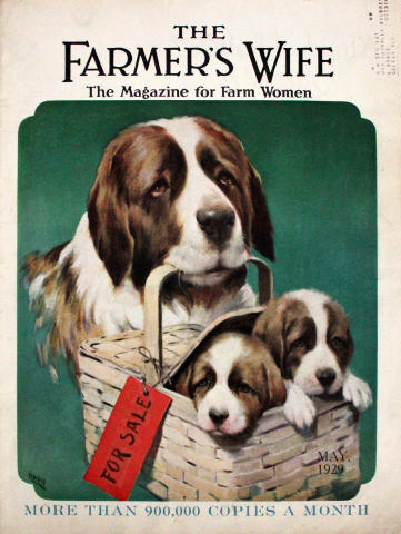 The Farmer's Wife