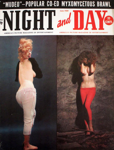 Night and Day Vintage Adult Magazine