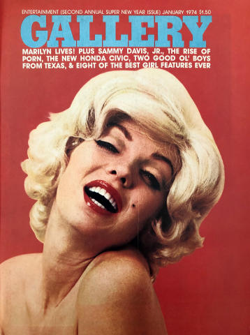 Gallery Vintage Adult Magazine