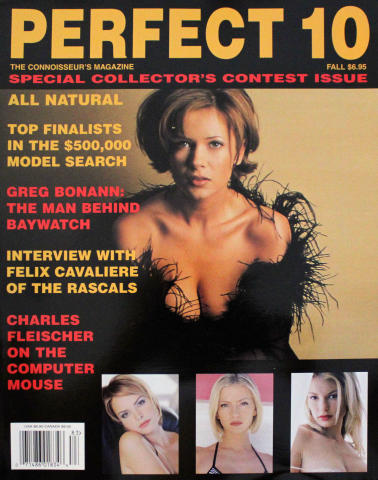 Perfect 10 Vintage Adult Magazine